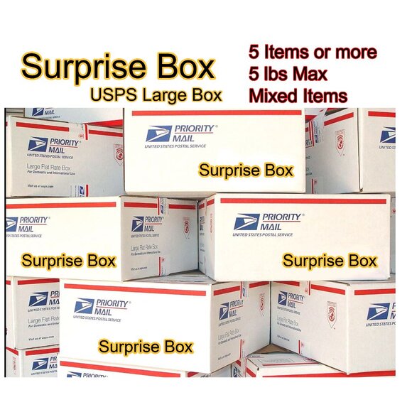 Amamzon Target Walmart Home Depot Other - Surprise Box, Gift Box, Mixed Items, USPS Large Box- All Brand New - Mystery Box